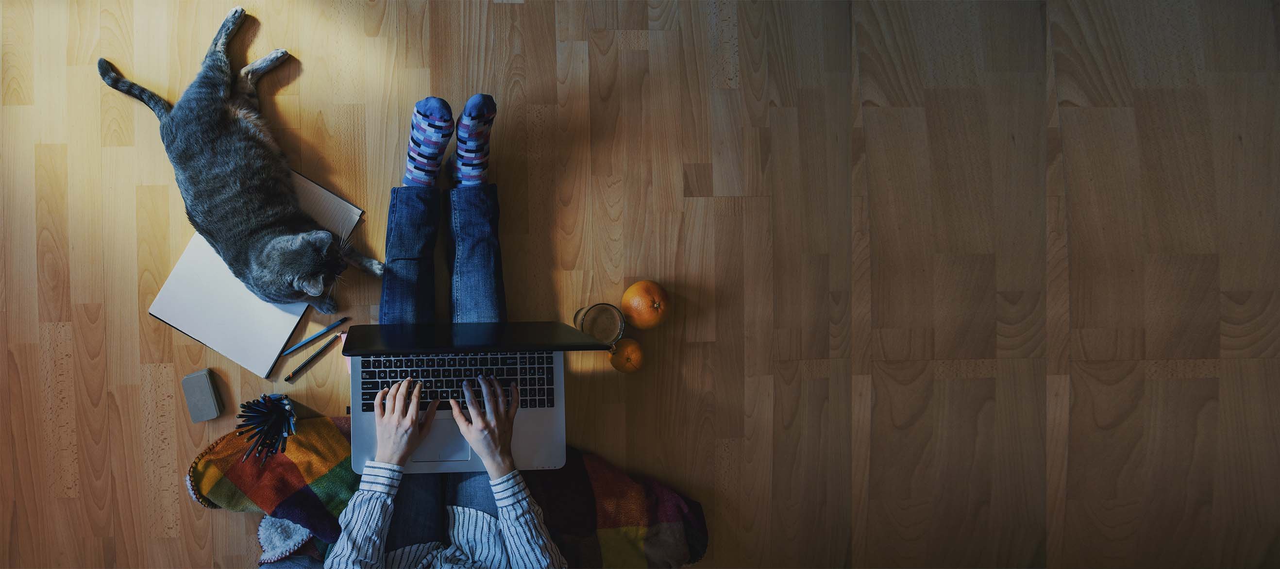 1641543809-home-working-cat-2